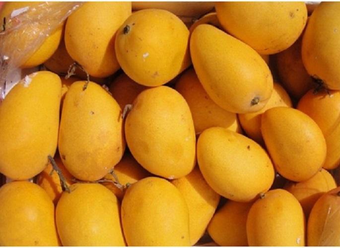 Mango prices fall in Nagpur | नागपुरात आंब्याचे भाव घसरल्याने खवय्यांना दिलासा