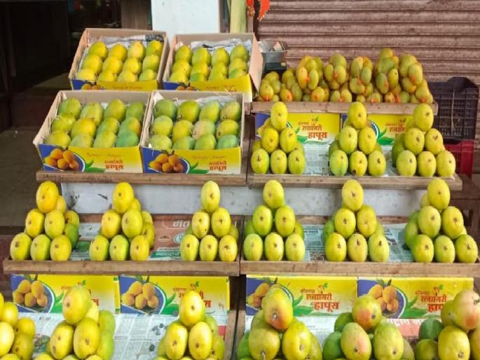 The prices of Ratnagiri Hapus are beyond the reach of the common man | ‘रत्नागिरी हापूस’चे दर सर्वसामान्यांच्या आवाक्याबाहेर  The prices of Ratnagiri Hapus are beyond the reach of the common man | ‘रत्नागिरी हापूस’चे दर सर्वसामान्यांच्या आवाक्याबाहेर
