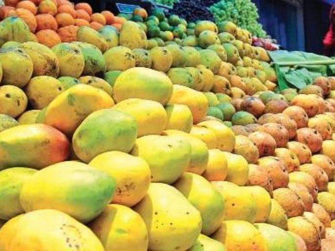 Mango prices under control; Restrictions slowed sales | आंब्याचे दर आटोक्यात; निर्बंधांमुळे विक्री मंदावली Mango prices under control; Restrictions slowed sales | आंब्याचे दर आटोक्यात; निर्बंधांमुळे विक्री मंदावली