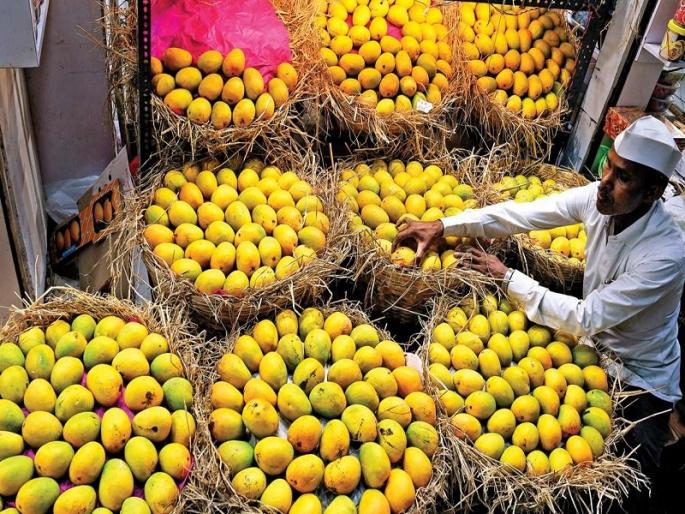 demand for mango increased demand for other fruits declined in market yard | पुणे : आंब्याला मागणी वाढली; इतर फळांची मागणी घटली demand for mango increased demand for other fruits declined in market yard | पुणे : आंब्याला मागणी वाढली; इतर फळांची मागणी घटली