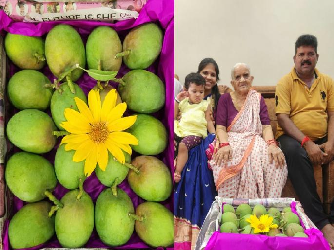 The first box of Hapus leaves for Vashi from Devgad on the occasion of Diwali | Hapus Mango Market: फळांचा राजा बाजारात दाखल, दिवाळीच्या मुहूर्तावर देवगडहून हापूसची पहिली पेटी वाशीला रवाना The first box of Hapus leaves for Vashi from Devgad on the occasion of Diwali | Hapus Mango Market: फळांचा राजा बाजारात दाखल, दिवाळीच्या मुहूर्तावर देवगडहून हापूसची पहिली पेटी वाशीला रवाना