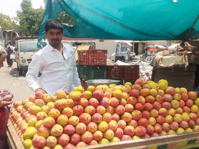Lalbagh and payari mango increase in arrivals Solapur rushes to buy mangoes market | लालबाग अन पायरीची आवक वाढली, सोलापुरात आंबे खरेदीसाठी गर्दी झाली Lalbagh and payari mango increase in arrivals Solapur rushes to buy mangoes market | लालबाग अन पायरीची आवक वाढली, सोलापुरात आंबे खरेदीसाठी गर्दी झाली