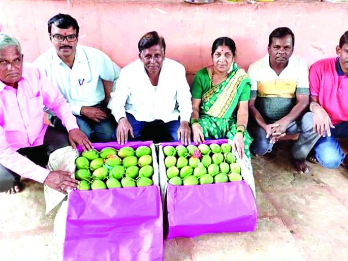 The first box of hapus sails to Vashi Market | हापूसची पहिली पेटी वाशी मार्केटला; रवाना हापूसची पहिली पेटी वाशी मार्केटला रवाना The first box of hapus sails to Vashi Market | हापूसची पहिली पेटी वाशी मार्केटला; रवाना हापूसची पहिली पेटी वाशी मार्केटला रवाना
