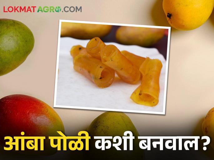 Amba Poli There is a growing demand for this product made from mango abroad | Amba Poli आंब्यापासून बनविलेल्या या पदार्थाला परदेशात वाढती मागणी Amba Poli There is a growing demand for this product made from mango abroad | Amba Poli आंब्यापासून बनविलेल्या या पदार्थाला परदेशात वाढती मागणी