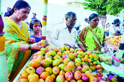 Mango molecules in the house for astonishment; But the King of the fruit is worth eating! | अक्षयतृतीयेसाठी घराघरांमध्ये आंब्याचा मान; पण फळांचा राजा खातोय भलताच भाव ! Mango molecules in the house for astonishment; But the King of the fruit is worth eating! | अक्षयतृतीयेसाठी घराघरांमध्ये आंब्याचा मान; पण फळांचा राजा खातोय भलताच भाव !