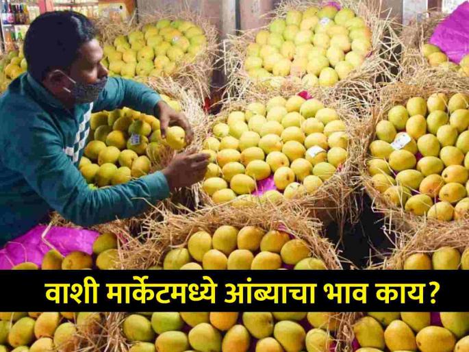 mangoes worth Rs 500 crores a year in apmc market 1800 tonnes arrive in Vashi market every day | मुंबईकरांकडून वर्षाला ५०० कोटींचे आंबे फस्त! वाशी मार्केटमध्ये दररोज १८०० टन आवक, काय आहेत दर? mangoes worth Rs 500 crores a year in apmc market 1800 tonnes arrive in Vashi market every day | मुंबईकरांकडून वर्षाला ५०० कोटींचे आंबे फस्त! वाशी मार्केटमध्ये दररोज १८०० टन आवक, काय आहेत दर?