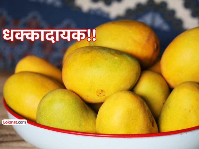 200 kg Of Artificially Ripened Mangoes Seized In Hyderabad Fruit Trader Arrested There was risk of respiratory diseases | खळबळजनक!!! २०० किलो बनावट पद्धतीने पिकवलेले आंबे जप्त; श्वसनाच्या आजारांचा होता धोका 200 kg Of Artificially Ripened Mangoes Seized In Hyderabad Fruit Trader Arrested There was risk of respiratory diseases | खळबळजनक!!! २०० किलो बनावट पद्धतीने पिकवलेले आंबे जप्त; श्वसनाच्या आजारांचा होता धोका