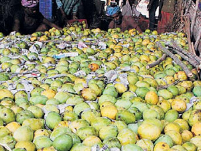 Calcium Carbide found in mangoes in Nagpur | नागपुरात आंब्यामध्ये आढळले कॅल्शियम कार्बाईड Calcium Carbide found in mangoes in Nagpur | नागपुरात आंब्यामध्ये आढळले कॅल्शियम कार्बाईड