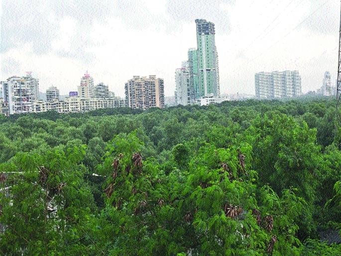 Unauthorized huts being erected in Versova to take advantage of lockdown | वर्सोव्यात लॉकडाऊनचा फायदा घेत खारफूटीची झाडे तोडून उभारल्या जात आहेत अनाधिकृत झोपड्या  Unauthorized huts being erected in Versova to take advantage of lockdown | वर्सोव्यात लॉकडाऊनचा फायदा घेत खारफूटीची झाडे तोडून उभारल्या जात आहेत अनाधिकृत झोपड्या