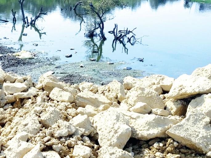 Fill the soil with mafia in Kandalvan | कांदळवनात माफियांकडून मातीचा भराव Fill the soil with mafia in Kandalvan | कांदळवनात माफियांकडून मातीचा भराव