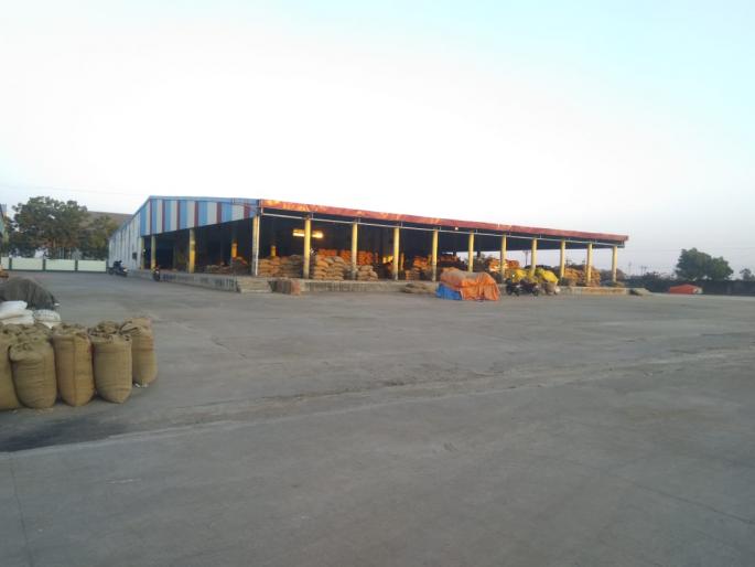 mangrulpir market committee bills pending by businessmens | मंगरुळपीर येथील व्यापाऱ्यांनी थकविले अडत्यांचे पैसे mangrulpir market committee bills pending by businessmens | मंगरुळपीर येथील व्यापाऱ्यांनी थकविले अडत्यांचे पैसे