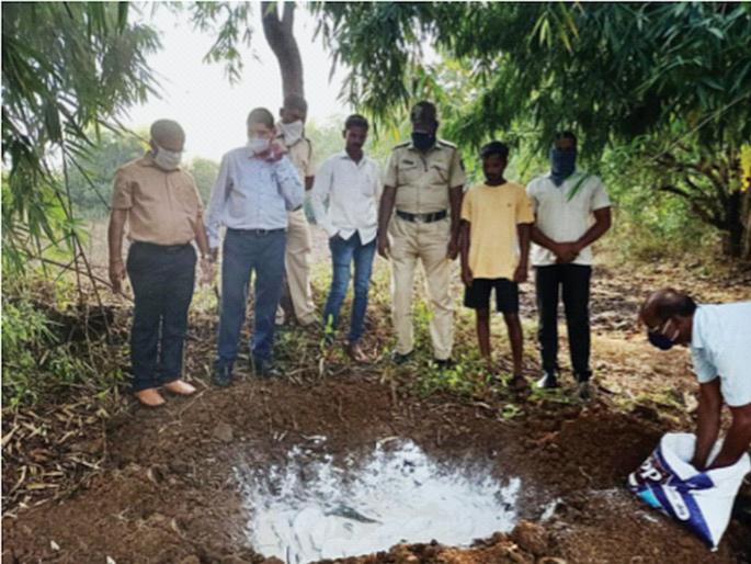 12 lakh eggs of Mangur fish harmful to human health destroyed | मानवी आरोग्यास घातक मांगूर माशांची १२ लाख अंडी नष्ट