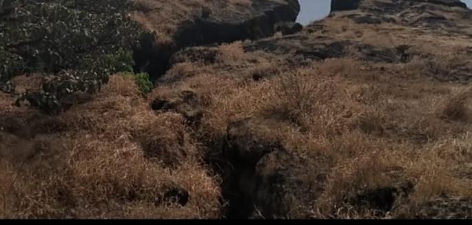 Possibility of extinction of land survey site at Manoli | मानोली येथील जमीन मोजणीचे वारसास्थळ नामशेष होण्याची शक्यता