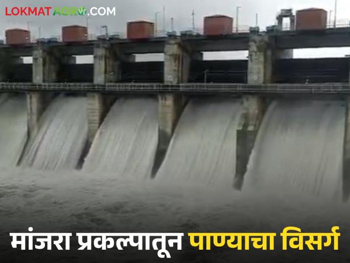 latest news Manjara Dam Water Release: Water discharge from Manjara project resumes, read in detail | Manjara Dam Water Release : मांजरा प्रकल्पातून पुन्हा पाण्याचा विसर्ग सुरू वाचा सविस्तर