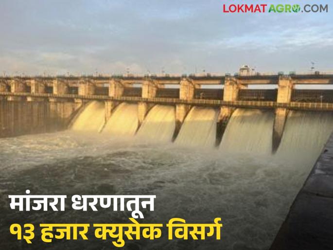 latest news Manjara Dam Update: 4 gates of Manjara Dam opened; Alert issued to villages along the river | Manjara Dam Update : मांजरा धरणाचे ४ दरवाजे उघडले; नदीकाठच्या गावांना सतर्कतेचा इशारा