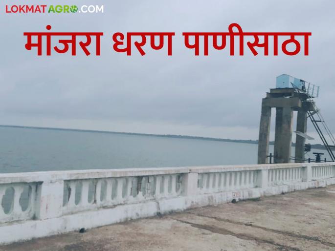 latest news Dam Water Storage: Relief from rain; Enough water available for the whole year in this district | Dam Water Storage : पावसाचा दिलासा; 'या' जिल्ह्यात वर्षभर पुरेल इतके पाणी उपलब्ध latest news Dam Water Storage: Relief from rain; Enough water available for the whole year in this district | Dam Water Storage : पावसाचा दिलासा; 'या' जिल्ह्यात वर्षभर पुरेल इतके पाणी उपलब्ध