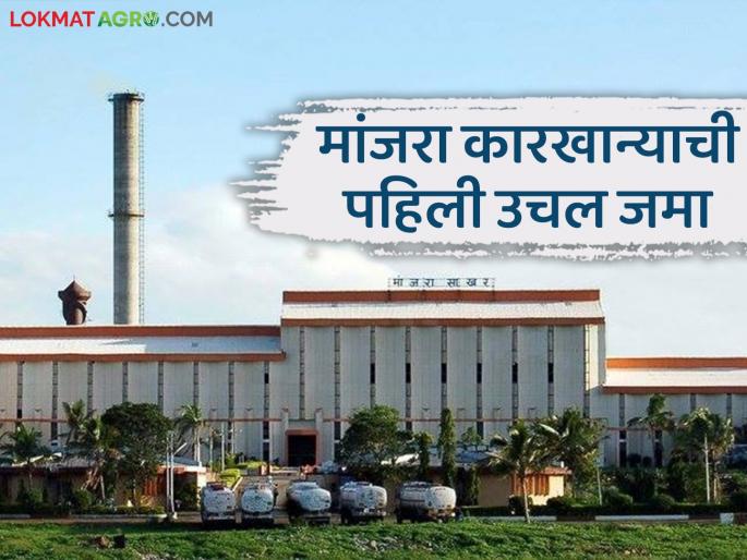Manjara Sugar Factory : 87 thousand quintals of sugar produced in Manjara factory; Read in detail how much was crushed | Manjara Sugar Factory : मांजरा कारखान्यात ८७ हजार क्विंटल साखर उत्पादन; किती झाले गाळप ते वाचा सविस्तर Manjara Sugar Factory : 87 thousand quintals of sugar produced in Manjara factory; Read in detail how much was crushed | Manjara Sugar Factory : मांजरा कारखान्यात ८७ हजार क्विंटल साखर उत्पादन; किती झाले गाळप ते वाचा सविस्तर