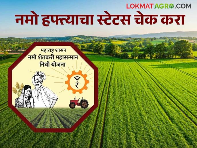 Latest News Check your Namo Shetkari Yojana payment will arrive or not by following these simple steps. | Namo Shetkari Hafta : तुमचा नमो शेतकरी योजनेचा हफ्ता येणार कि नाही, या सोप्या स्टेपद्वारे तपासा 