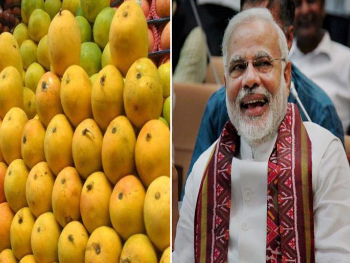 PM Narendra Modi will taste Konkan mangoes; Authentic Hapus Mango Festival to be held in Delhi by MP Ravindra Waikar | पंतप्रधान नरेंद्र मोदी चाखणार कोकणचा आंबा; दिल्लीत भरणार अस्सल हापूस आंबा महोत्सव PM Narendra Modi will taste Konkan mangoes; Authentic Hapus Mango Festival to be held in Delhi by MP Ravindra Waikar | पंतप्रधान नरेंद्र मोदी चाखणार कोकणचा आंबा; दिल्लीत भरणार अस्सल हापूस आंबा महोत्सव