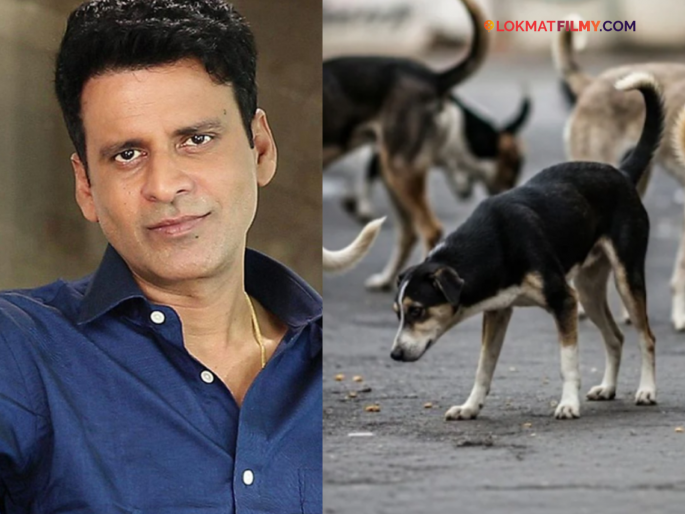 Manoj Bajpayee On Stray Dogs Sc Decision Celebrity Reaction | "लोकांनाही सुरक्षित वाटण्याचा अधिकार...", सुप्रीम कोर्टाच्या आदेशावर मनोज वाजपेयी यांनी मांडलं स्पष्ट मत