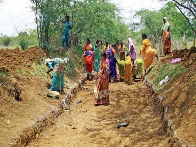 15,000 laborers from 430 villages from Rohyo in Latur district! | लातूर जिल्ह्यात रोहयोतून ४३० गावांतील १५ हजार मजूरांच्या हाताला काम ! 15,000 laborers from 430 villages from Rohyo in Latur district! | लातूर जिल्ह्यात रोहयोतून ४३० गावांतील १५ हजार मजूरांच्या हाताला काम !