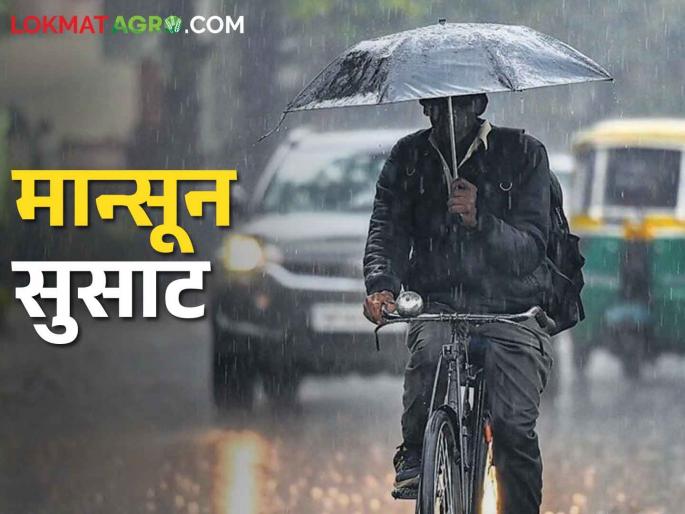 Monsoon captures half of Maharashtra; Where is the heavy rain today? and where is the orange alert? | Weather Forecast मान्सूनने निम्मा महाराष्ट्र काबीज केला; आज कुठे मुसळधार? कुठे ऑरेंज अलर्ट?