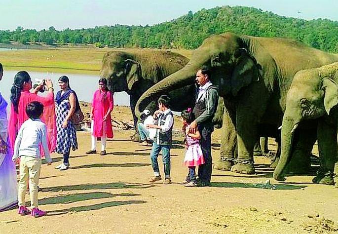 Kamalapur Elephant Camp | कमलापूरचा हत्ती कॅम्प Kamalapur Elephant Camp | कमलापूरचा हत्ती कॅम्प