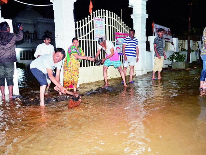 Water entering the house .. The condition of Solapur | सोलापूर शहरात मुसळधार पाऊस; घराघरात शिरलं पाणी.. सोलापूरकरांची अवस्था केविलवाणी Water entering the house .. The condition of Solapur | सोलापूर शहरात मुसळधार पाऊस; घराघरात शिरलं पाणी.. सोलापूरकरांची अवस्था केविलवाणी