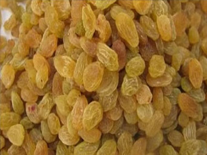A record production of two lakh tonnes of raisins in Sangli district, Farmers are satisfied as prices are stable | सांगली जिल्ह्यात विक्रमी सव्वादोन लाख टन बेदाण्याचे उत्पादन, दर स्थिर असल्यामुळे शेतकरी समाधानी A record production of two lakh tonnes of raisins in Sangli district, Farmers are satisfied as prices are stable | सांगली जिल्ह्यात विक्रमी सव्वादोन लाख टन बेदाण्याचे उत्पादन, दर स्थिर असल्यामुळे शेतकरी समाधानी