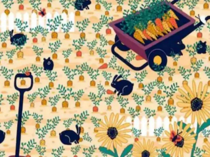 Many are failing to find the hidden ring in this optical illusion photo | आता लढवा शक्कल! या 'भूल भुलैया'मधील अंगठी शोधताना भल्याभल्यांना फुटला घाम Many are failing to find the hidden ring in this optical illusion photo | आता लढवा शक्कल! या 'भूल भुलैया'मधील अंगठी शोधताना भल्याभल्यांना फुटला घाम