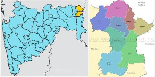 Gondia district first from Nagpur division | नागपूर विभागातून गोंदिया जिल्हा प्रथम Gondia district first from Nagpur division | नागपूर विभागातून गोंदिया जिल्हा प्रथम