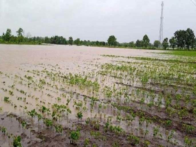 Good news for heavy rain victims in the district; 345.99 Crore proposal from the government has given its stamp of approval | जिल्ह्यातील अतिवृष्टीग्रस्तांसाठी शुभवार्ता; ३४५.९९ कोटींच्या प्रस्तावावर शासनाकडून मंजुरीची मोहर Good news for heavy rain victims in the district; 345.99 Crore proposal from the government has given its stamp of approval | जिल्ह्यातील अतिवृष्टीग्रस्तांसाठी शुभवार्ता; ३४५.९९ कोटींच्या प्रस्तावावर शासनाकडून मंजुरीची मोहर