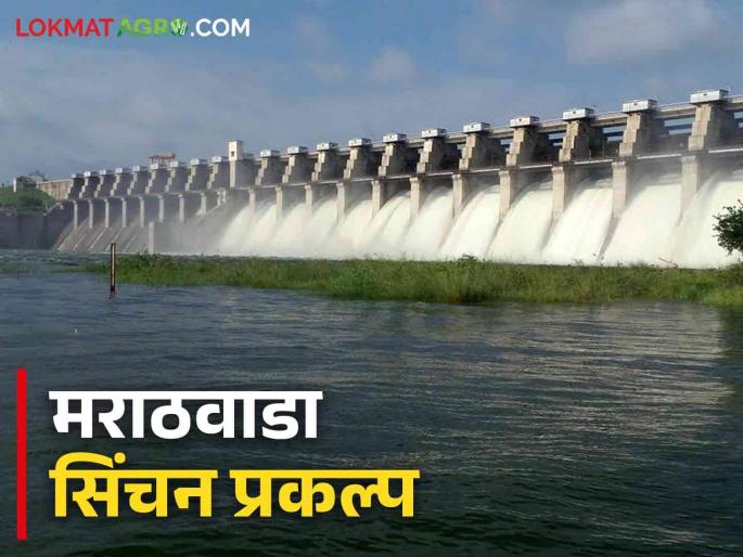 Irrigation projects : Irrigation projects in Marathwada will cover 'so many' hectares | Irrigation projects : मराठवाड्यातील सिंचन प्रकल्प 'इतके' हेक्टर क्षेत्र येणार ओलिताखाली