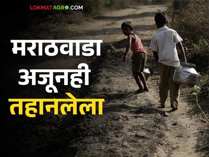 It rained in few places; The rest is dry | मोजक्या ठिकाणी बरसला; बाकी भाग कोरडाच It rained in few places; The rest is dry | मोजक्या ठिकाणी बरसला; बाकी भाग कोरडाच