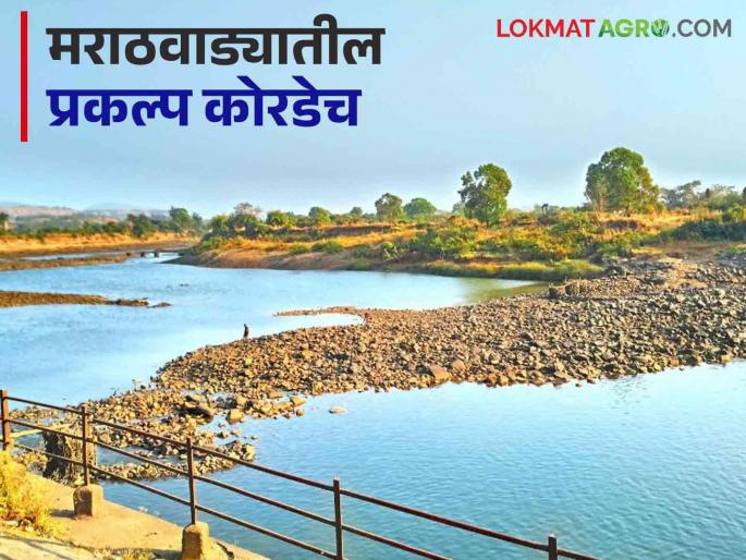 Marathwada Dam : Except for Nanded in Marathwada, other projects are awaiting rains  | Marathwada Dam : मराठवाड्यातील नांदेड वगळता इतर प्रकल्प पावसाच्या प्रतीक्षेत  Marathwada Dam : Except for Nanded in Marathwada, other projects are awaiting rains  | Marathwada Dam : मराठवाड्यातील नांदेड वगळता इतर प्रकल्प पावसाच्या प्रतीक्षेत