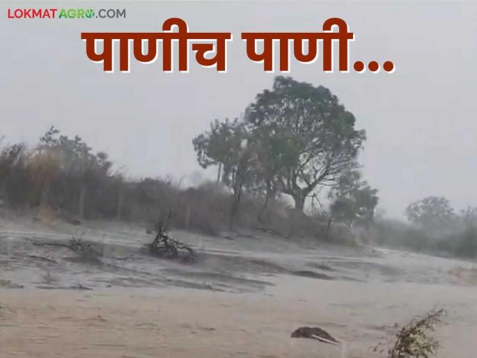 latest news Avakali Rain: Marathwada hit by Avakali; Heavy rain in twelve mandals Read in detail | Avakali Rain : मराठवाड्याला अवकाळीचा तडाखा; बारा मंडळांत अतिवृष्टी वाचा सविस्तर