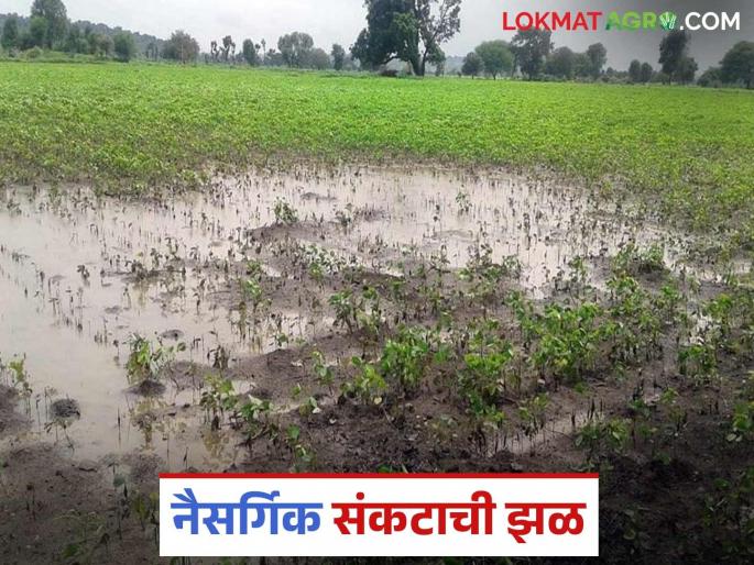 latest news Awakali Paus: Rain or disaster? Heavy rains in Marathwada in May Read in detail | Awakali Paus : पाऊस की आपत्ती? मे महिन्यात मराठवाड्यात मुसळधार अवकाळी वाचा सविस्तर