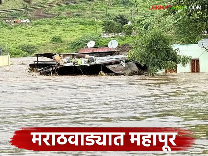 latest news Marathwada Floods : Floods in Marathwada; Farmers worried, normal life disrupted Read in detail | Marathwada Floods : मराठवाड्यात महापूर; शेतकरी चिंतेत, जनजीवन विस्कळीत वाचा सविस्तर