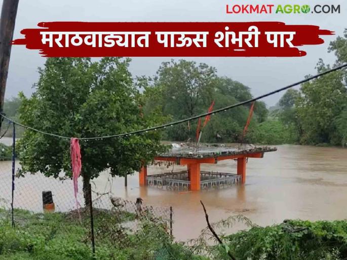 Marathawada Rain: Marathawada reaches hundred in rain; Next season will be good | Marathawada Rain : मराठवाड्याने पावसात गाठली शंभरी; पुढील हंगाम होणार सुखकर Marathawada Rain: Marathawada reaches hundred in rain; Next season will be good | Marathawada Rain : मराठवाड्याने पावसात गाठली शंभरी; पुढील हंगाम होणार सुखकर