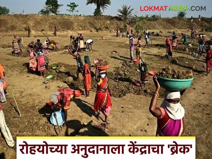 latest news MGNREGA Scheme : Centre's 'break' on Rohyo's subsidy; Know the reason in detail | MGNREGA Scheme : रोहयोच्या अनुदानाला केंद्राचा 'ब्रेक'; काय आहे कारण जाणून घ्या सविस्तर latest news MGNREGA Scheme : Centre's 'break' on Rohyo's subsidy; Know the reason in detail | MGNREGA Scheme : रोहयोच्या अनुदानाला केंद्राचा 'ब्रेक'; काय आहे कारण जाणून घ्या सविस्तर