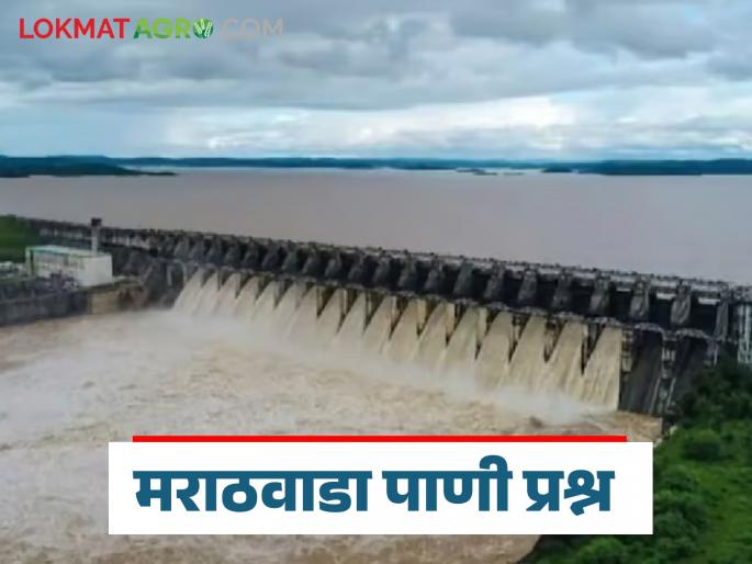Jayakwadi Dam: Don't let Marathwada's mouth water! Read in detail | Jayakwadi Dam : मराठवाड्याच्या तोंडचे पाणी पळवू नका! वाचा सविस्तर Jayakwadi Dam: Don't let Marathwada's mouth water! Read in detail | Jayakwadi Dam : मराठवाड्याच्या तोंडचे पाणी पळवू नका! वाचा सविस्तर