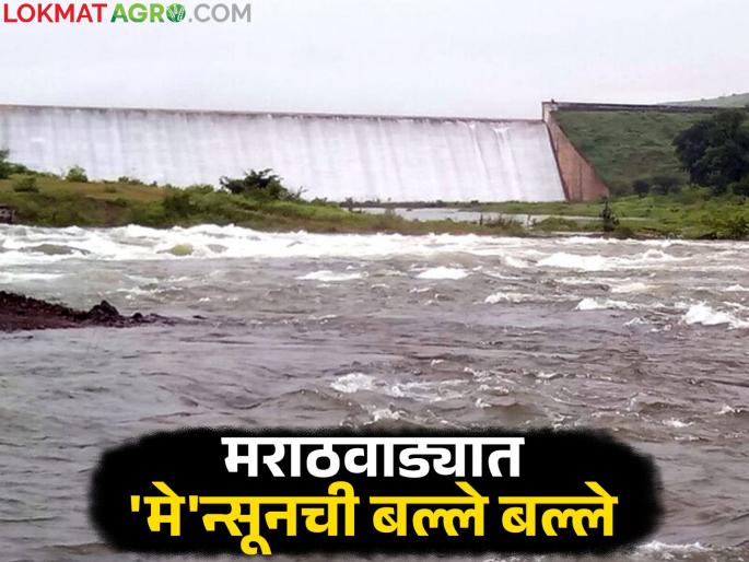 latest news Marathawada Dam Water: 'Monsoon Special': Marathwada's dams are full; Know how much water is available? | Marathawada Dam Water: 'मे'न्सून स्पेशल : मराठवाड्याचे धरण भरभरून; जाणून घ्या उपलब्ध पाणीसाठा किती?