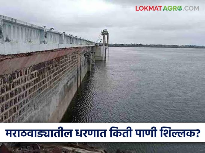 latest news Marathawada Dam Water: Rainfall intensity reduced, dam levels decreased; Know the water situation of Marathwada | Marathawada Dam Water : पावसाचा जोर कमी, धरणांची पातळी खालावली; जाणून घ्या मराठवाड्याची जलस्थिती