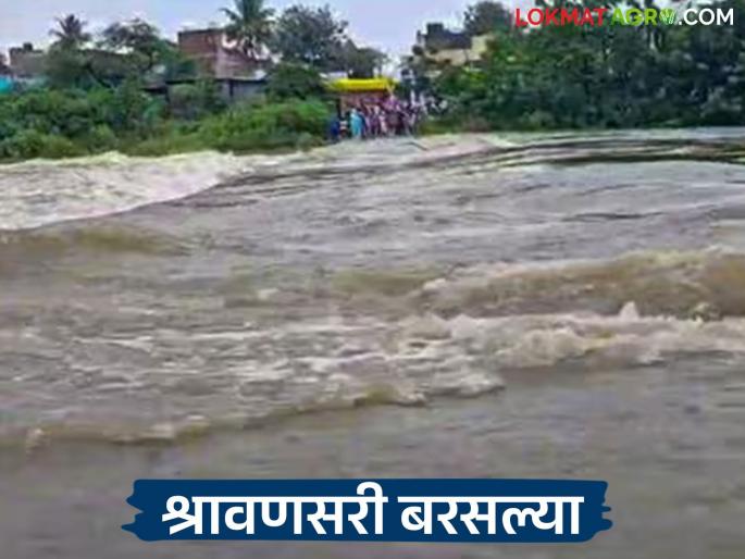 latest news Marathawada Rain Update: Varun Raja's blessings on Marathwada; The rains have given a breath of new life to the Kharif. Read in detail | Marathawada Rain Update : मराठवाड्यावर वरुणराजाची कृपा; संततधारेने खरिपास दिला नवसंजीवनीचा श्वास वाचा सविस्तर latest news Marathawada Rain Update: Varun Raja's blessings on Marathwada; The rains have given a breath of new life to the Kharif. Read in detail | Marathawada Rain Update : मराठवाड्यावर वरुणराजाची कृपा; संततधारेने खरिपास दिला नवसंजीवनीचा श्वास वाचा सविस्तर