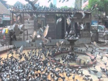 Notice issued to office bearers of marathi ekikaran samiti over pigeon house controversy | मराठी एकीकरण समितीच्या पदाधिकाऱ्यांना नोटीस जारी Notice issued to office bearers of marathi ekikaran samiti over pigeon house controversy | मराठी एकीकरण समितीच्या पदाधिकाऱ्यांना नोटीस जारी