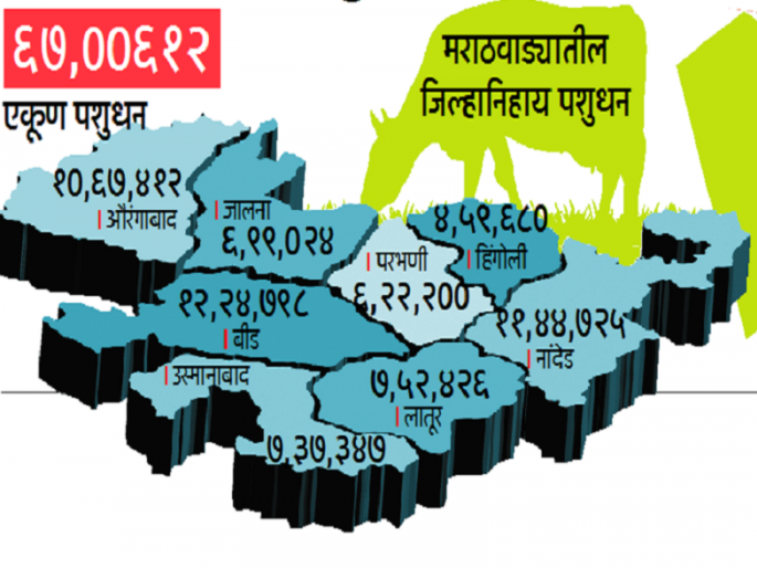 64 lakh animals in Marathwada suffers drought | मराठवाड्यातील ६४ लाख जनावरांना दुष्काळाच्या झळा