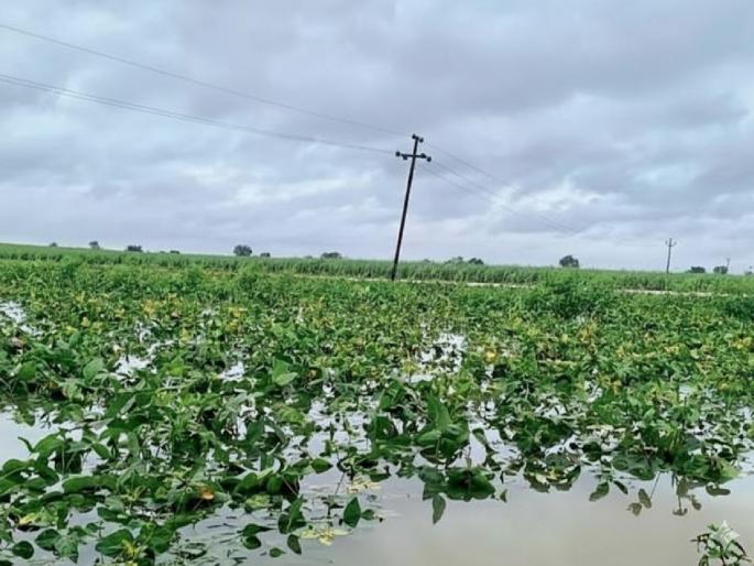 Unseasonal rains again in the state hitting crops that have been harvested Rains likely to increase in intensity | राज्यात पुन्हा अवकाळी पावसाचा फेरा, हातातोंडाशी आलेल्या पिकांवर मारा; जोर वाढण्याची शक्यता, चार-पाच दिवस सावट