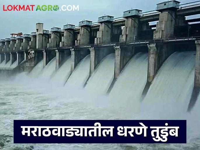 latest news Marathwada Dam Water Storage: Rains in Marathwada; Read in detail how much water storage is available | Marathwada Dam Water Storage : मराठवाड्यात पावसाची मेहरबानी; किती आहे जलसाठा उपलब्ध वाचा सविस्तर latest news Marathwada Dam Water Storage: Rains in Marathwada; Read in detail how much water storage is available | Marathwada Dam Water Storage : मराठवाड्यात पावसाची मेहरबानी; किती आहे जलसाठा उपलब्ध वाचा सविस्तर