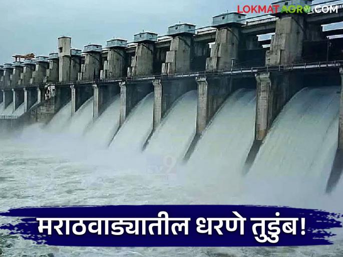 latest news Marathwada Dam Water Level: Effect of rain: Dams in Marathwada overflowed, know in detail | Marathwada Dam Water Level : पावसाचा परिणाम : मराठवाड्यातील धरणे तुडुंब भरली जाणून घ्या सविस्तर