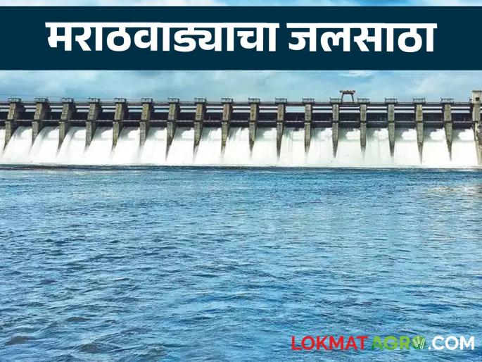 Marathwada Dam Water Storage : Read updates on Marathwada Dam Water Storage | Marathwada Dam Water Storage : वाचा मराठवाड्याच्या पाणीसाठ्याची अद्यावत माहिती